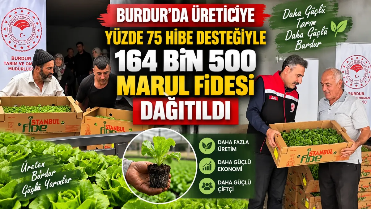 Burdur’da Yüzde 75 Hibeli Marul Fidesi Desteği! 164 Bin 500 Fide Dağıtıldı