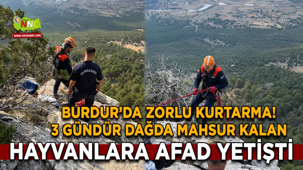 Burdur’da zorlu kurtarma! 3 Gündür dağda mahsur kalan hayvanlara AFAD yetişti