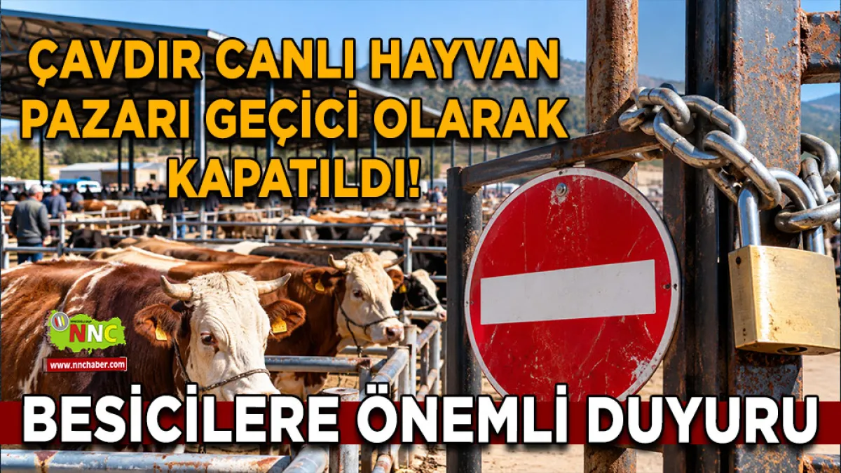 Çavdır Canlı Hayvan pazarı geçici olarak Kapatıldı! Besicilere önemli duyuru