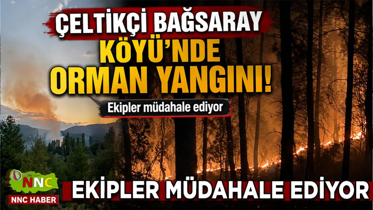 Çeltikçi Bağsaray Köyü’nde orman yangını! Ekipler müdahale ediyor