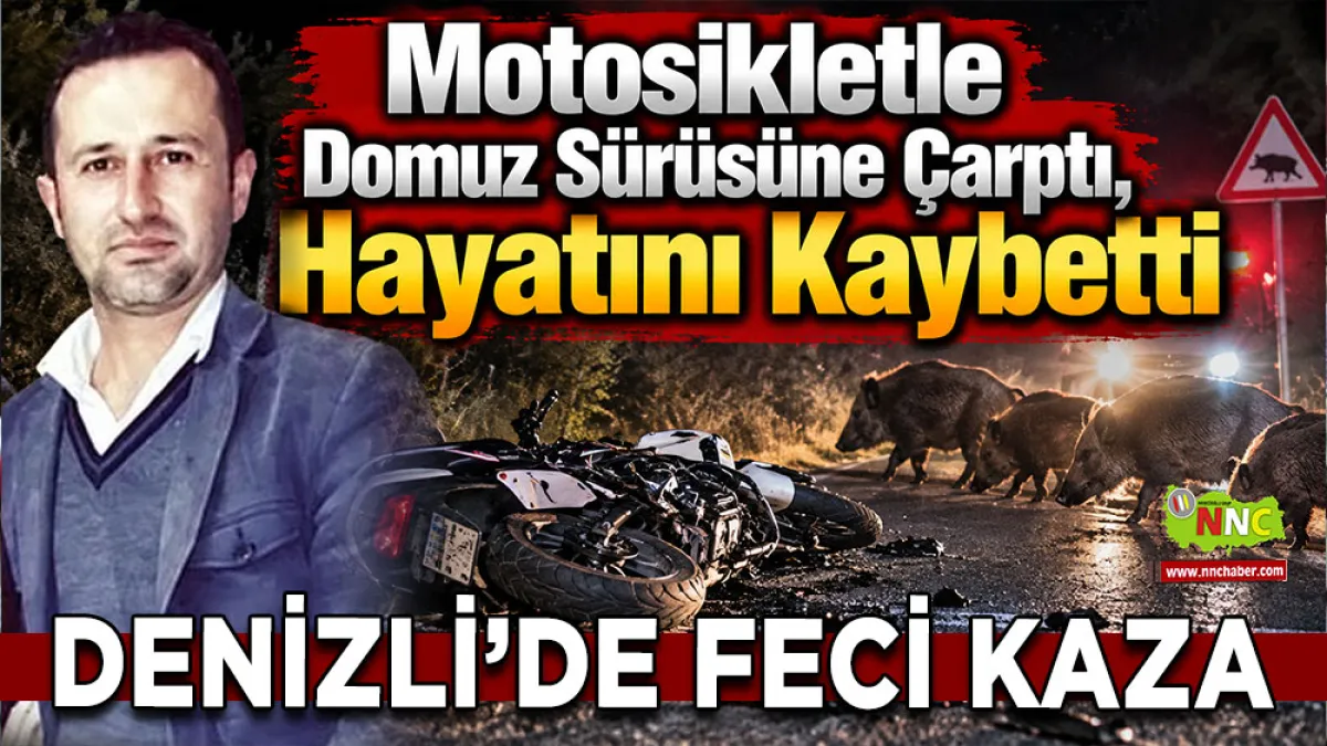 Denizli’de feci kaza Motosikletle domuz sürüsüne çarptı, hayatını kaybetti
