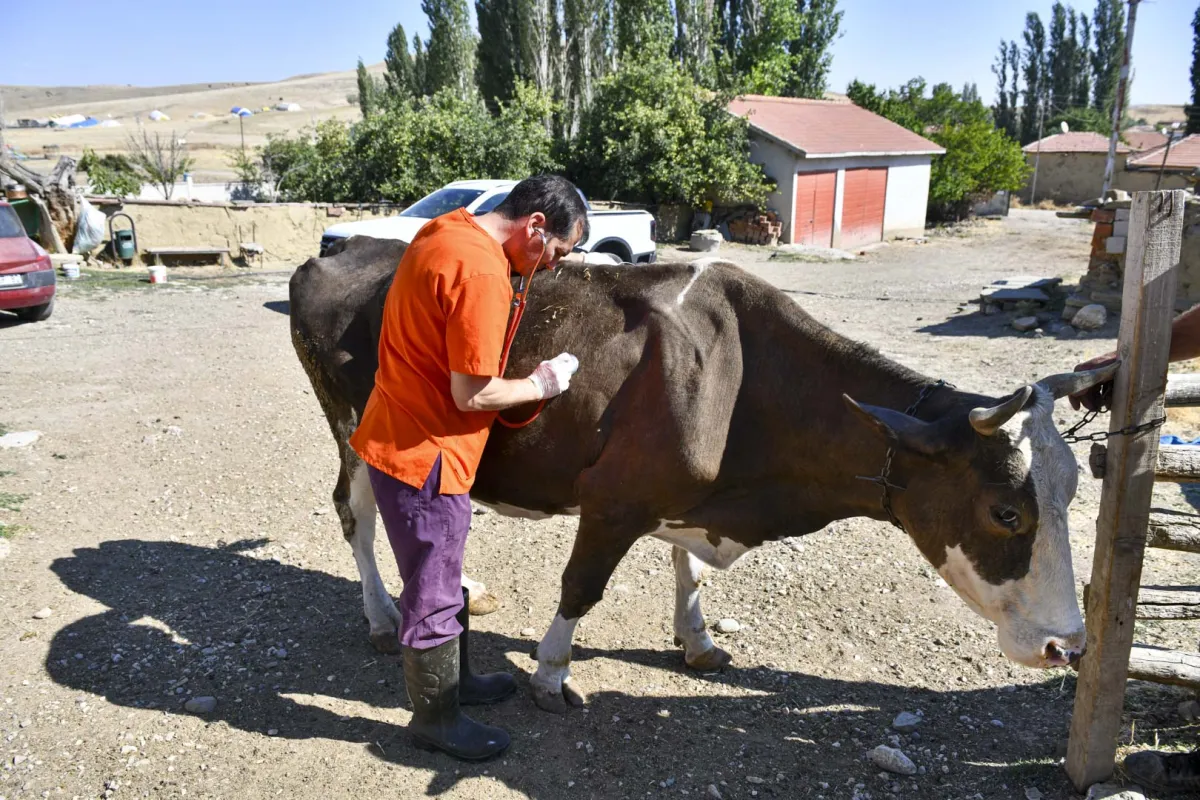 Ankara ABB’den Yetiştiriciye 12,5 Milyon TL’lik Can Suyu: 3 Ayda 18 Bin 159 İşlem