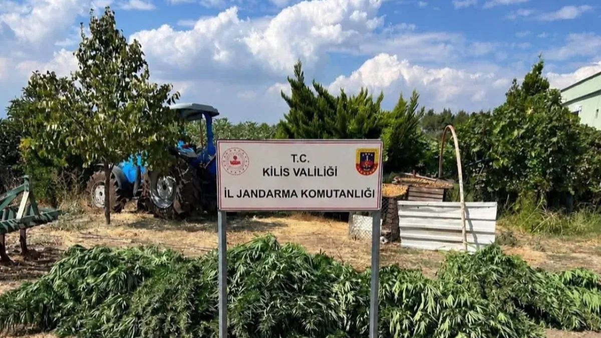 Kilis’te zehir operasyonu! 40 Kilo 500 gram esrar bulundu