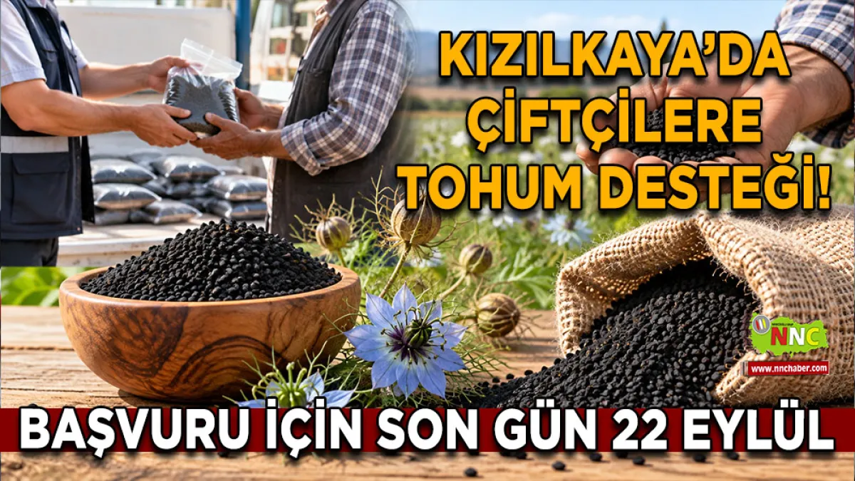 Kızılkaya’da çiftçilere tohum desteği! Başvuru için son gün 22 Eylül