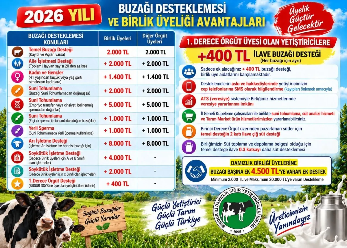 Burdurlu Yetiştiricilere 2026 Müjdesi! Buzağı Desteği 20 Bin TL’ye Ulaşabilecek