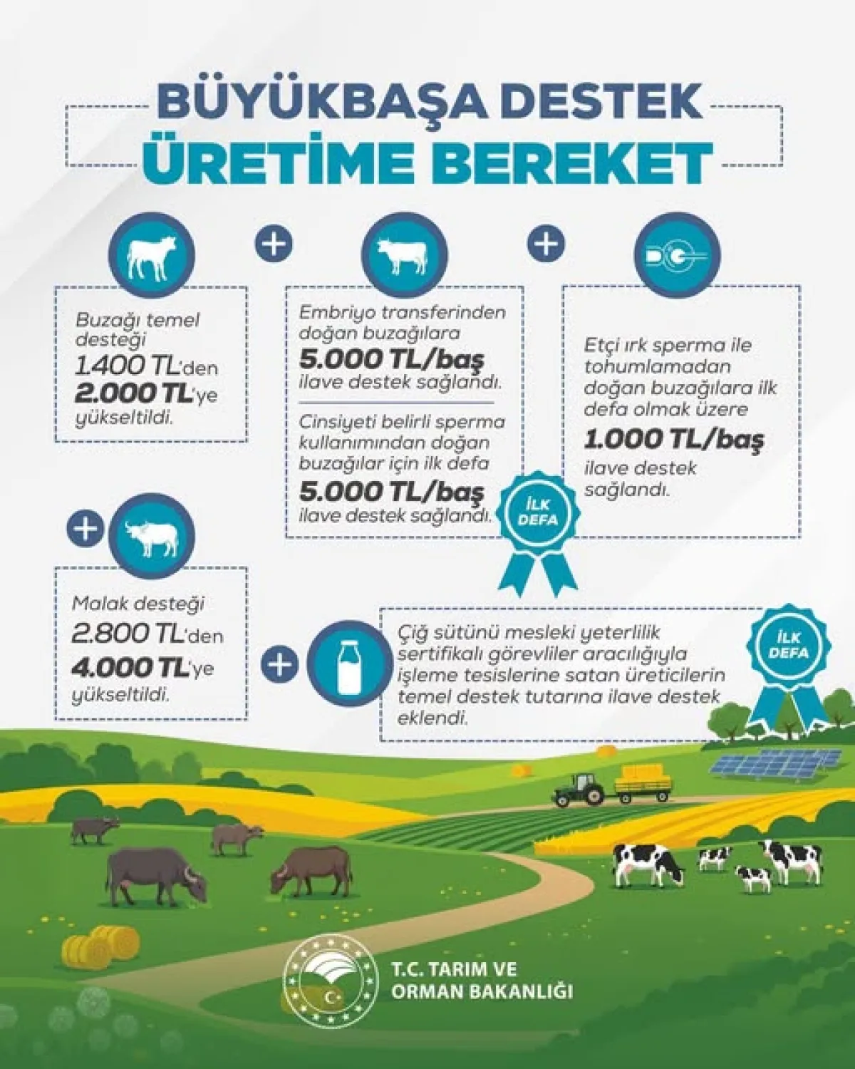 Burdurlu Yetiştiricilere 2026 Müjdesi! Buzağı Desteği 20 Bin TL’ye Ulaşabilecek
