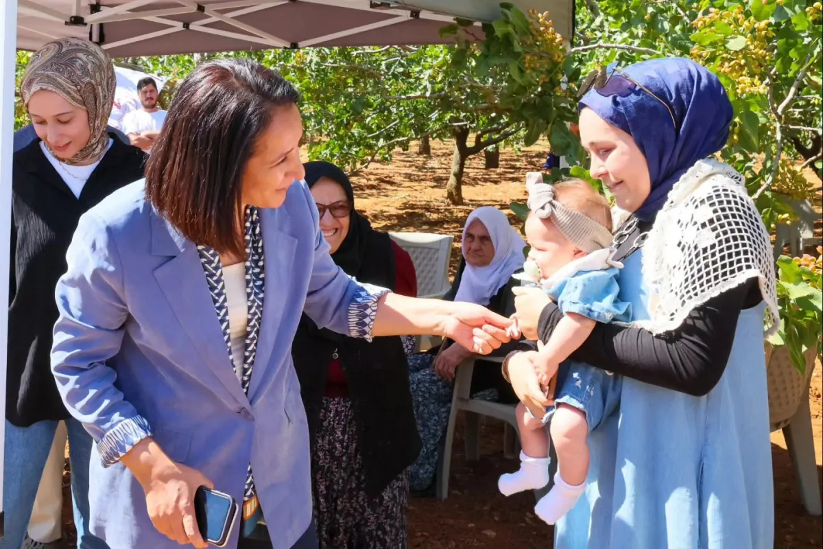 Burdur Valisi Tülay Baydar Bilgihan Meşhur Melli İncirini Dalından Topladı