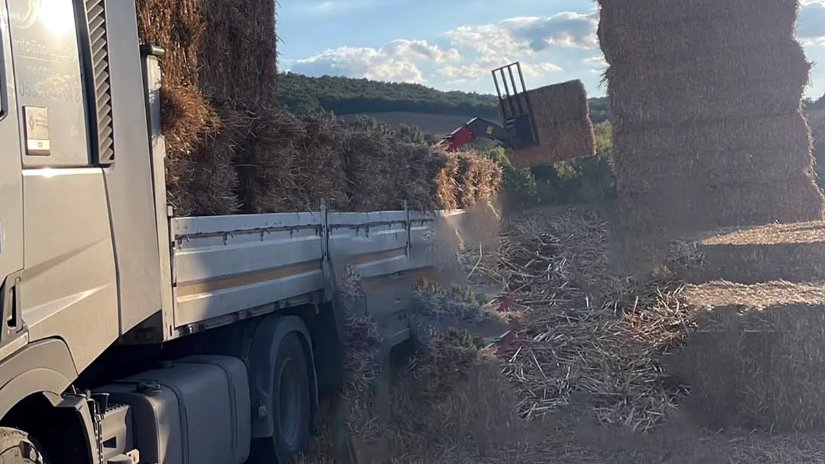 Tekirdağ’da feci olay! 500 Kiloluk saman balyalarının altında kaldı