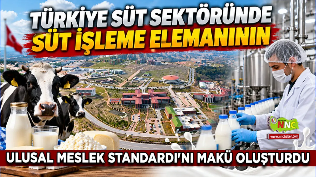 Türkiye süt sektöründe süt işleme elemanının Ulusal Meslek Standardı'nı MAKÜ oluşturdu