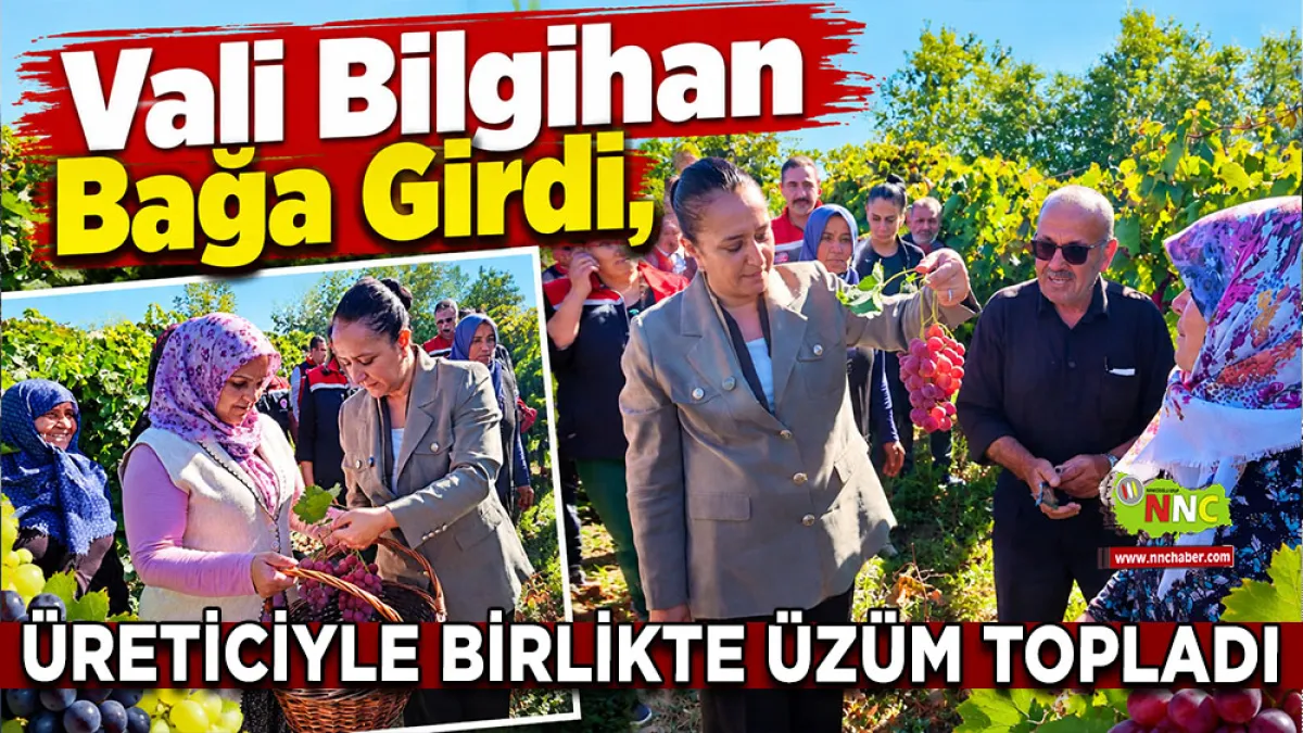 Vali Bilgihan bağa girdi, üreticiyle birlikte üzüm topladı