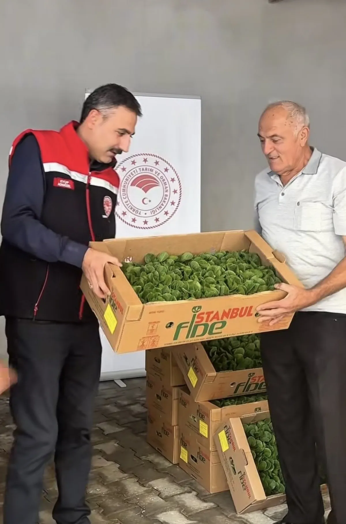 Burdur’da Yüzde 75 Hibeli Marul Fidesi Desteği! 164 Bin 500 Fide Dağıtıldı