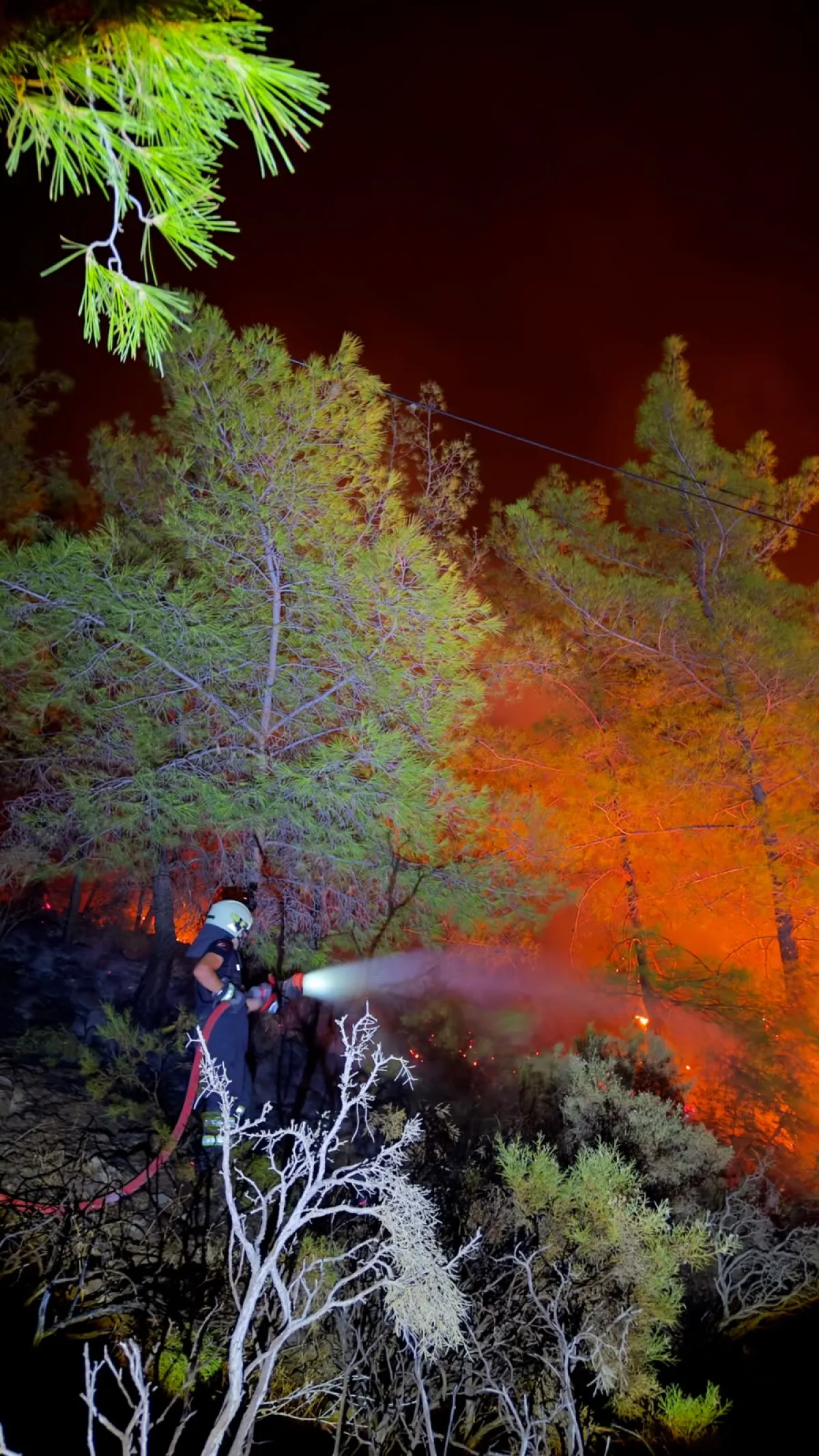 Bucak İtfaiyesi Kumluca’daki Orman Yangınına Gece Boyunca Müdahale Etti