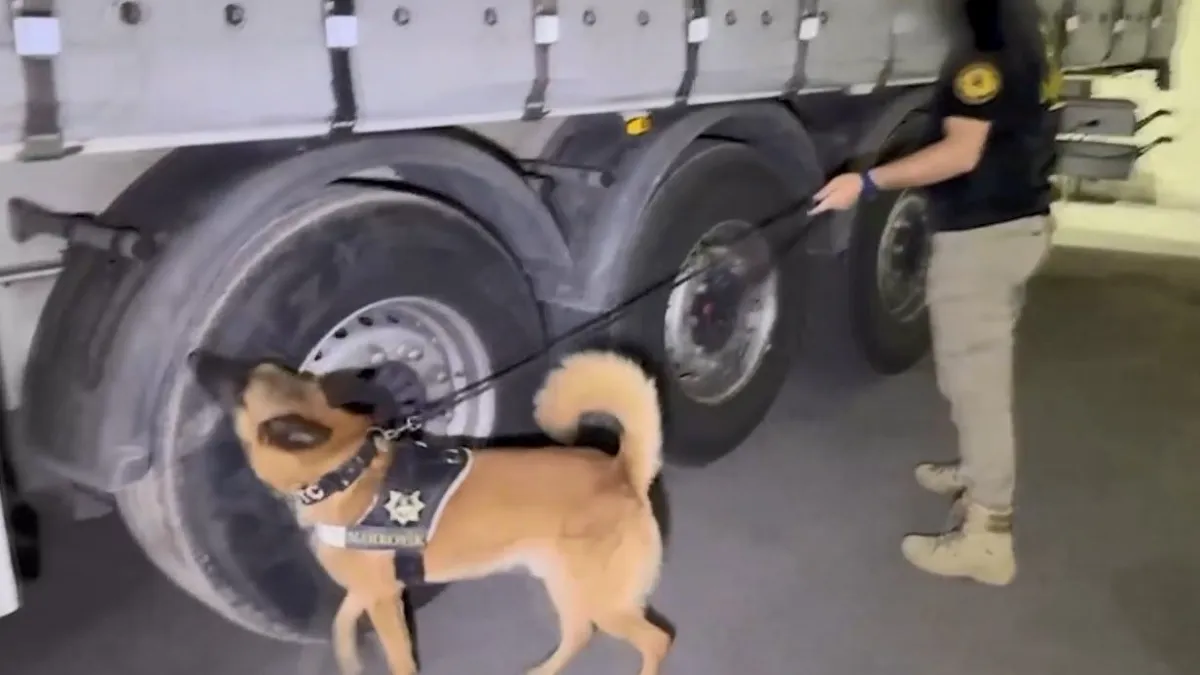 Yakıt tankını uyuşturucu deposuna çevirmişler! 224 Kilo ele geçirildi