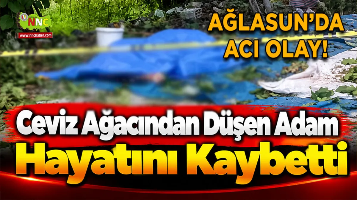 Ağlasun’da acı olay! Ceviz ağacından düşen adam hayatını kaybetti