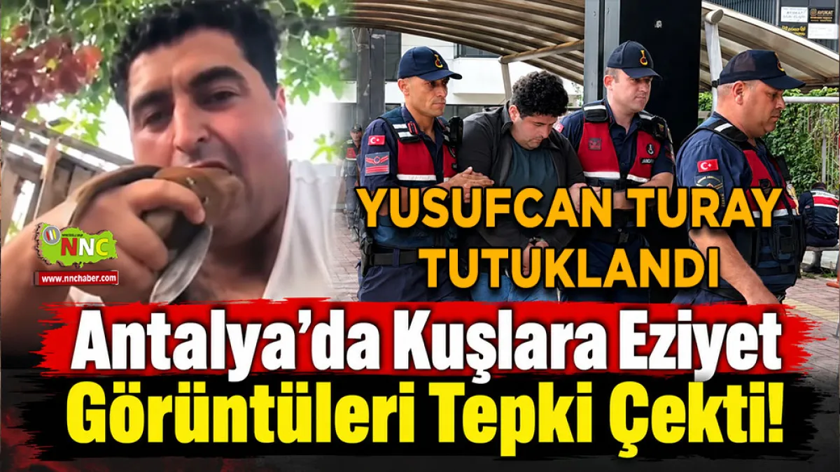 Antalya’da kuşlara eziyet görüntüleri tepki çekti! Yusufcan Turay tutuklandı