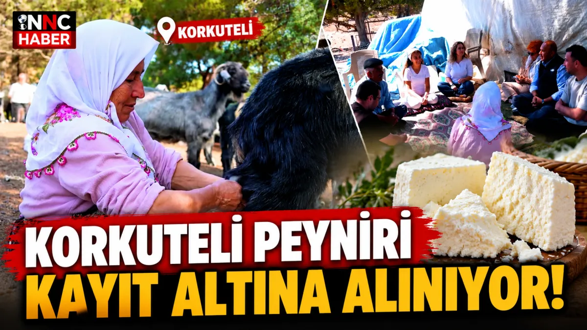 Antalya’nın Peynir Haritası Çıkarılıyor! Korkuteli Peyniri de Envantere Giriyor