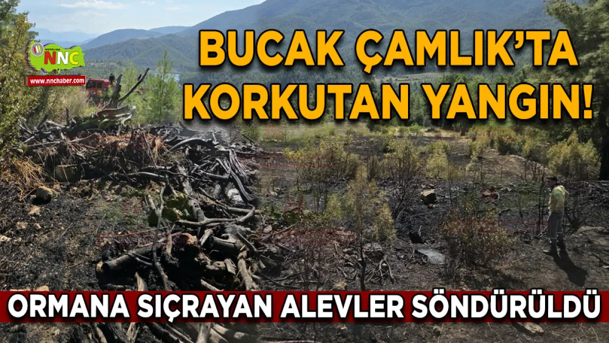 Bucak Çamlık’ta korkutan yangın! Ormana sıçrayan alevler söndürüldü