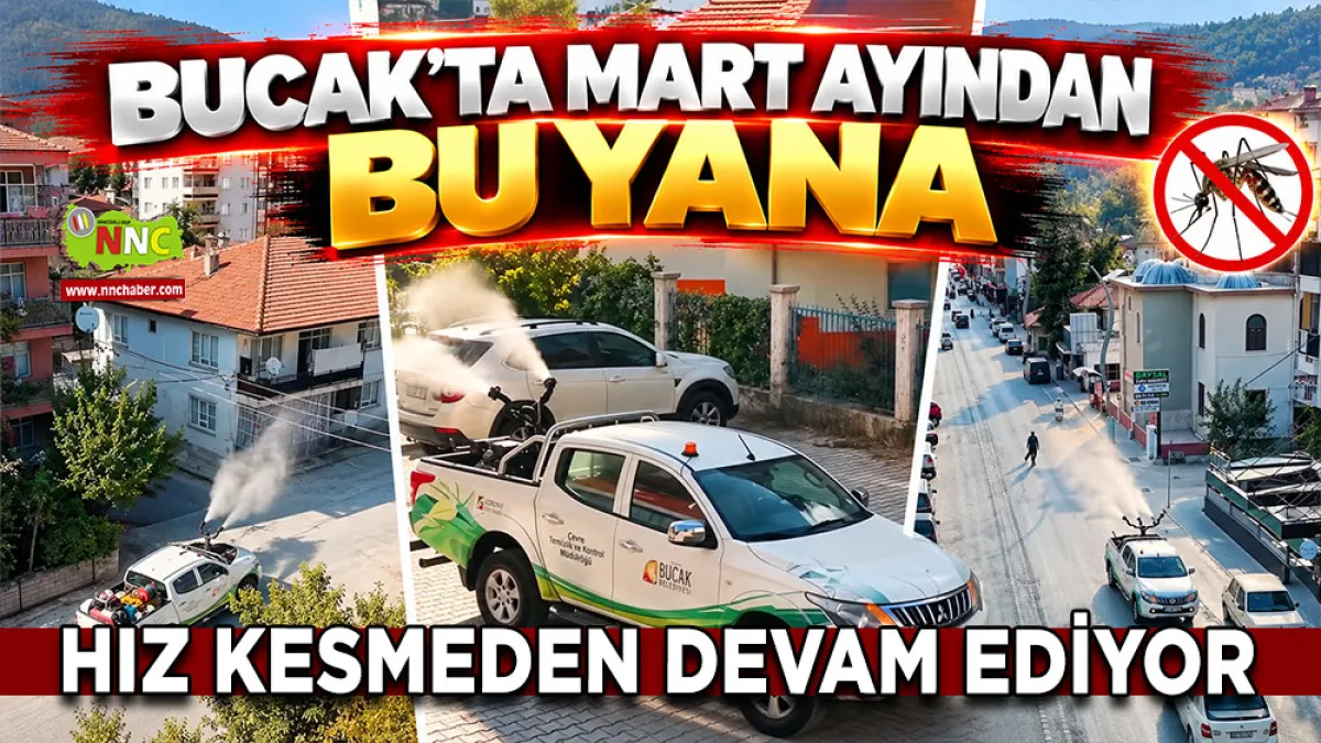Bucak’ta sineklere karşı mücadele hız kesmeden devam ediyor