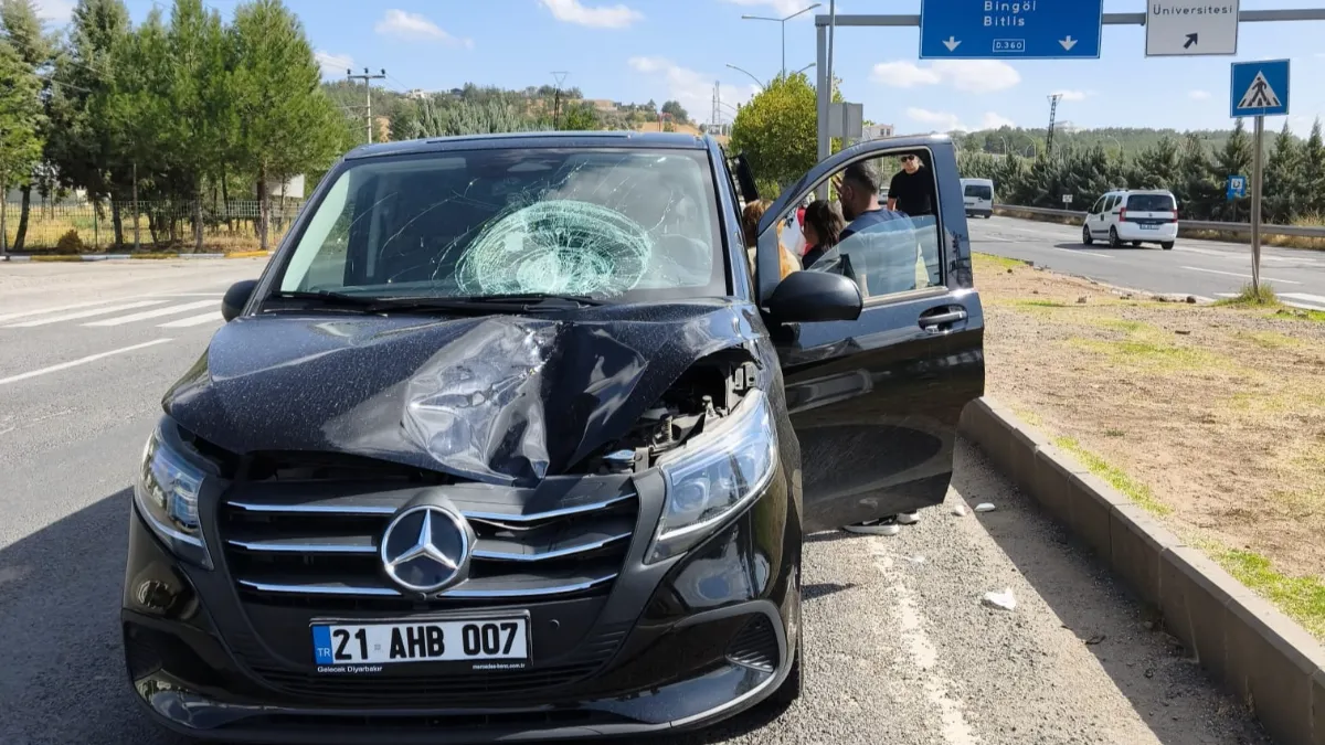 Diyarbakır'da yolun karşısına geçerken canından oldu! Sürücü tutuklandı