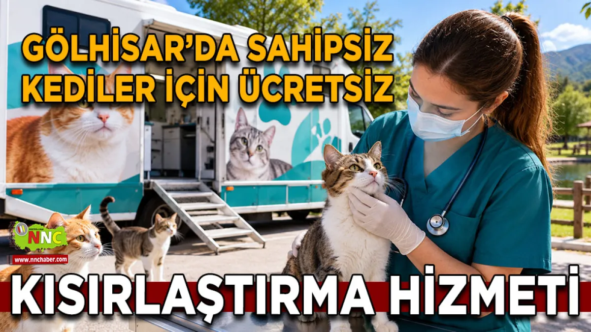 Gölhisar’da sahipsiz kediler için ücretsiz kısırlaştırma hizmeti