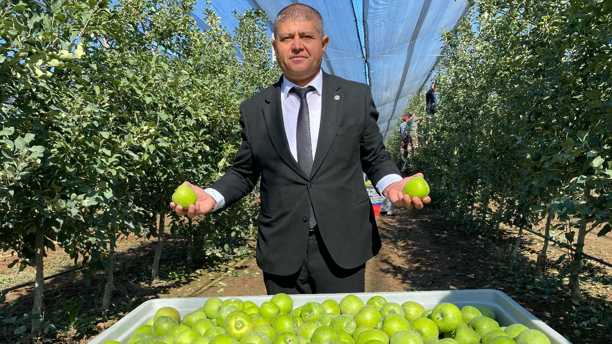 Isparta’da elma bereketi: Türkiye üretiminin dörtte biri buradan