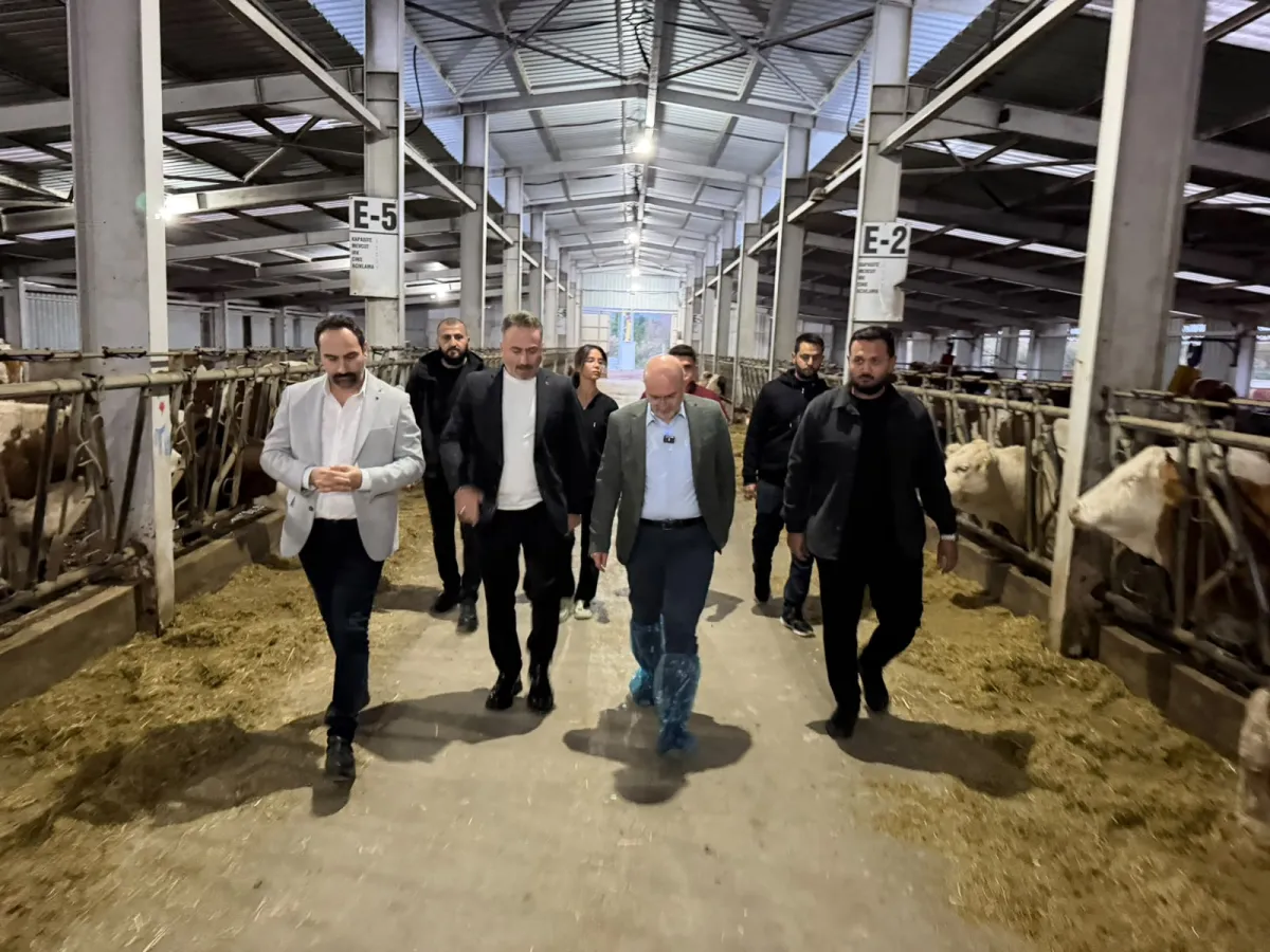 Burdur’da 1,1 Milyar TL’lik dev hayvancılık hamlesi! Korkmaz: “Neden sürekli hayvan ithal edelim?”