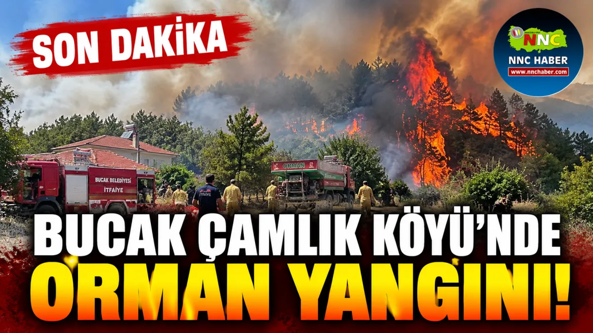 Son Dakika! Bucak Çamlık Köyü’nde Orman Yangını Ekipler Seferber Oldu