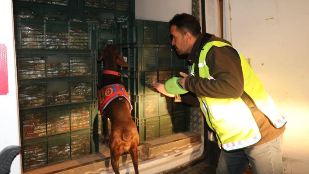 Adıyaman'da Jandarmadan Uyuşturucu Operasyonu -Haberler