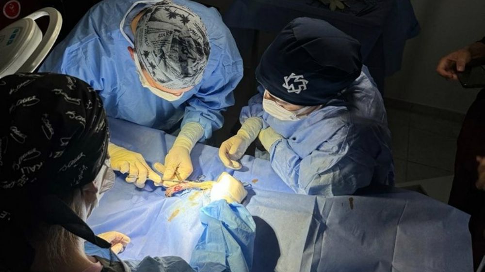 Kastamonu'da Yaralı Kedinin Mucizevi Kurtuluşu! -Haberler