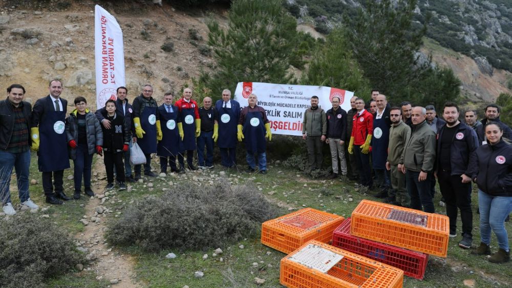 Manisa'da Biyolojik Mücadele: Bin Kılınalı Keklik Doğada -Haberler