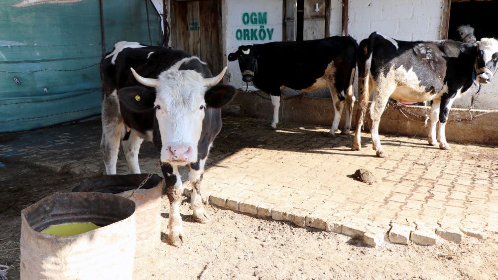 Muğla ve Aydın'da Orman Köylülerine 30 Milyon TL Destek!-Haberler 