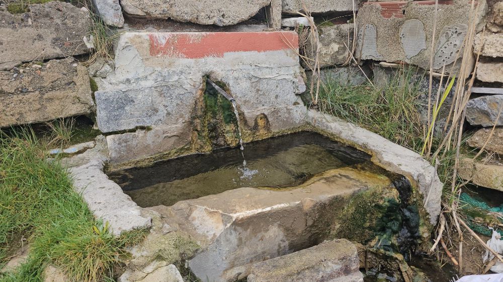 Bandırma'da Ördekler Su Birikintisinde Doğal Yaşamlarına Devam Ediyor