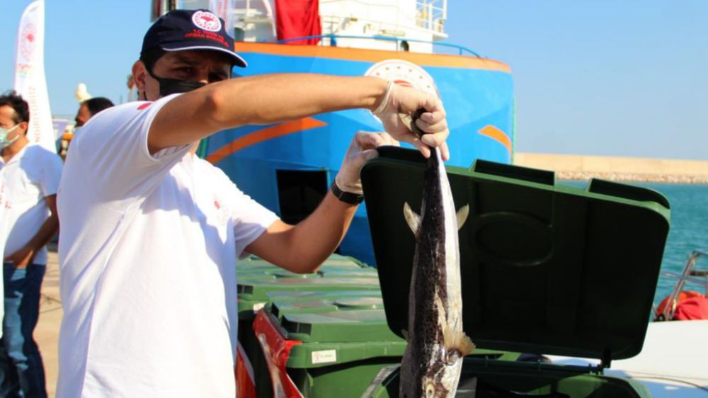 Antalya’da balıkçılara İstilacı balon balığı bereketi