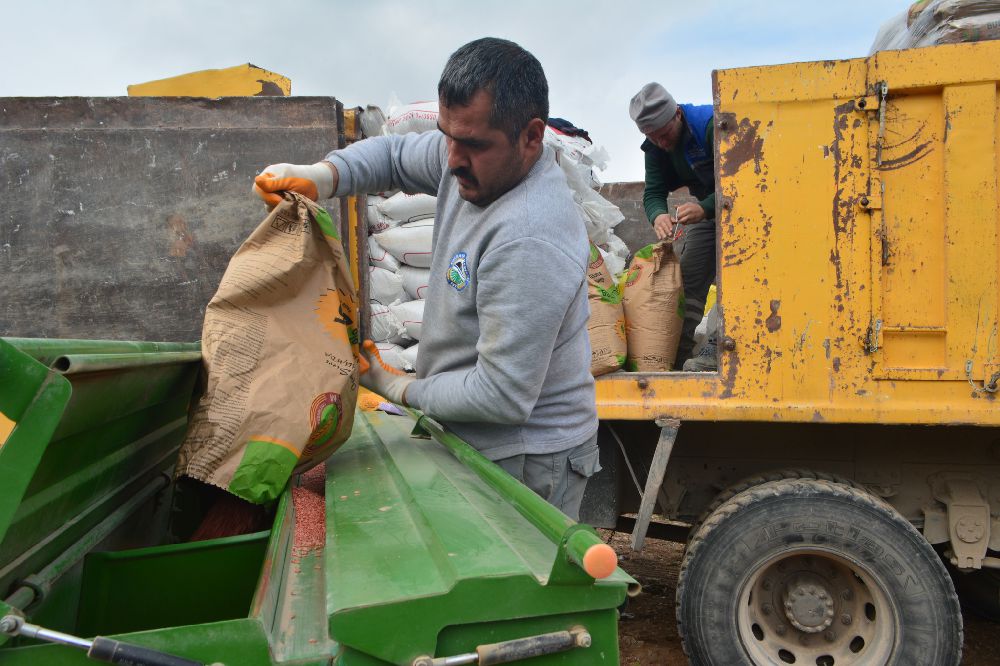 Kızılkaya Belediyesi tarlaları tohumla buluşturdu