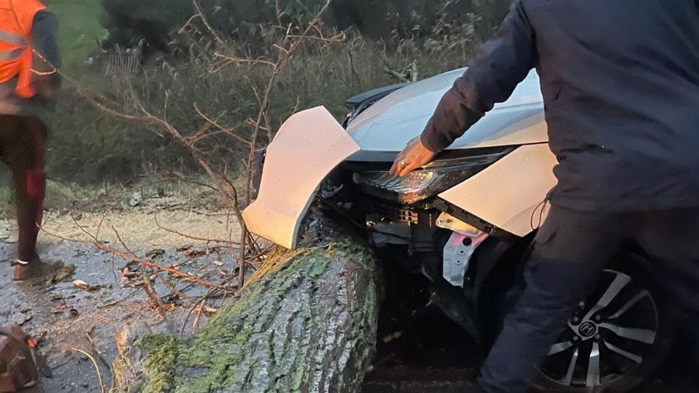 Biga'da Fırtına Sonucu Devrilen Ağaca Çarpan Araçta Maddi Hasar Oluştu