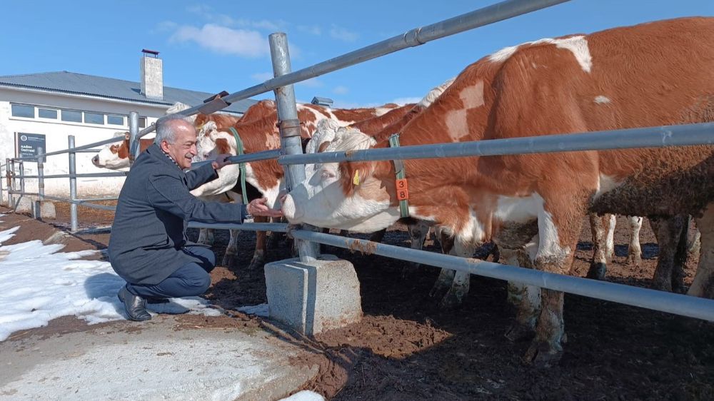 Rektör Prof. Dr. Ömer Çomaklı, büyükbaş hayvan çiftliğini ziyaret etti