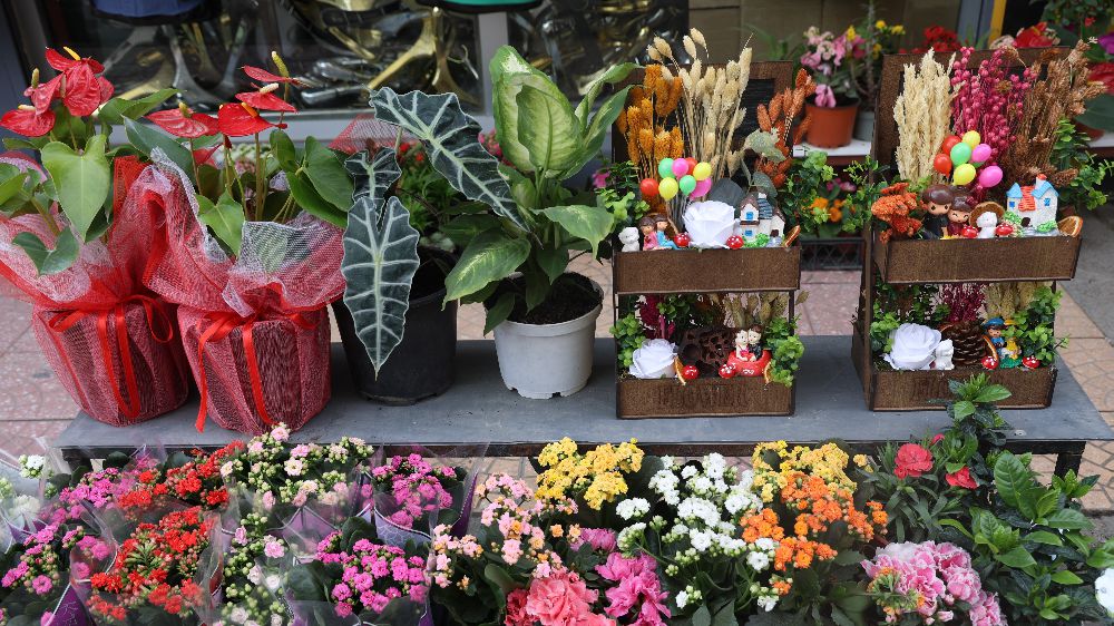 Hatay'da sevgililer günü yaklaşırken en çok tercih edilen çiçekler mezarlık çiçekleri oldu