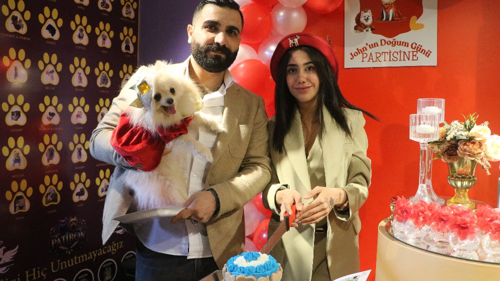 Son dönemde çıkan şiddet olaylarından sonra köpeklerine parti yaptılar | Haberler 