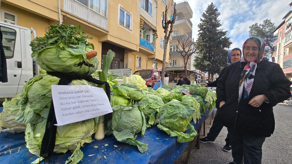 Tokat'ta Kar Yağmayınca Kardan Adam Yerine Lahana Adam Yapıldı!- Haberler 