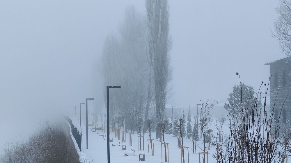 Ardahan'da Sis ve Soğuk Hava Yaşamı Olumsuz Etkiliyor- Haberler 
