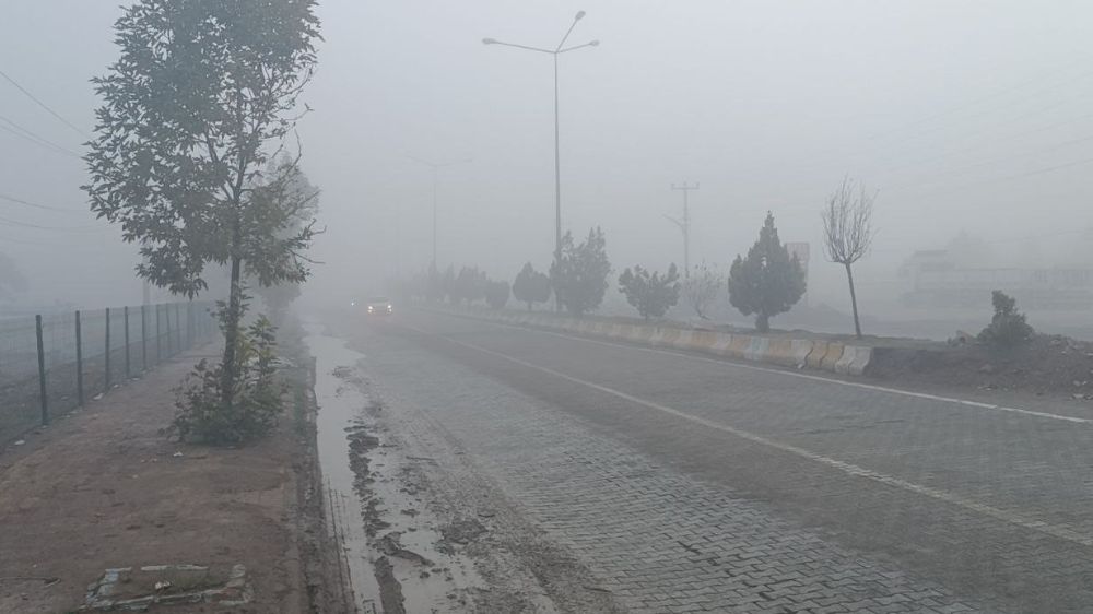 Konteyner kent sisli sabaha uyandı